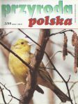 Przyroda Polska 03 1999